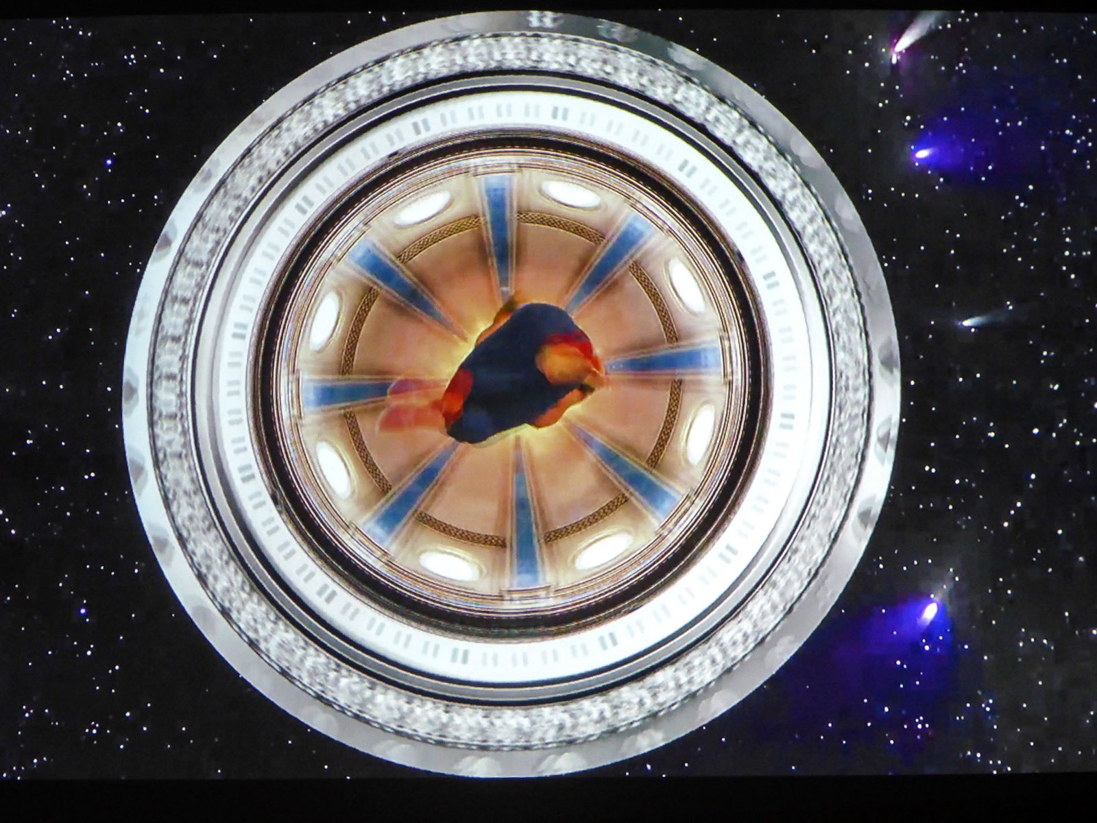 Palm Springs Killer Heels 183